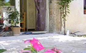 La Vigne Des Heures Claires