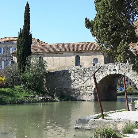 La Vigne Des Heures Claires Saint-Nazaire-d'Aude Esterno foto
